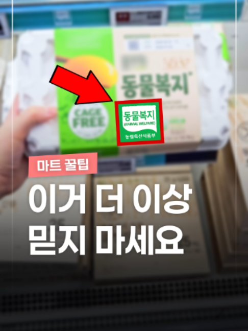 @짤컷