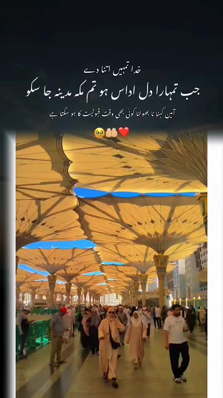 @ALi Asghar Awan 🇵🇰