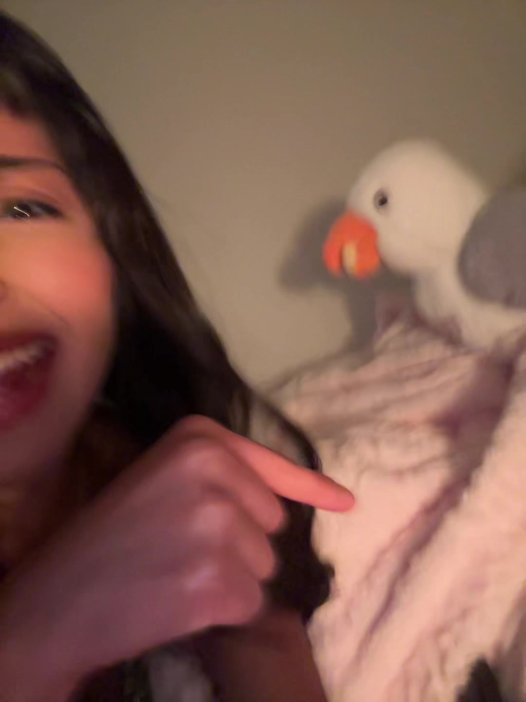 @iiammenitaa