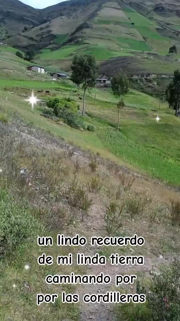 @Leonor