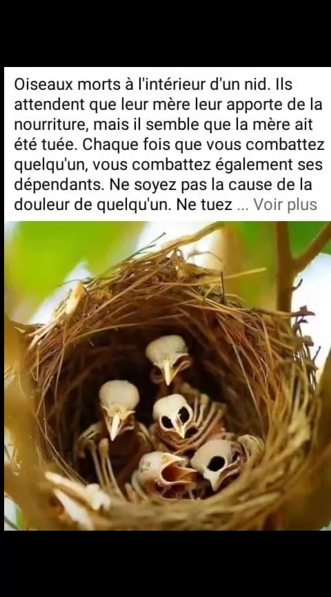 @Mbaye carreleur