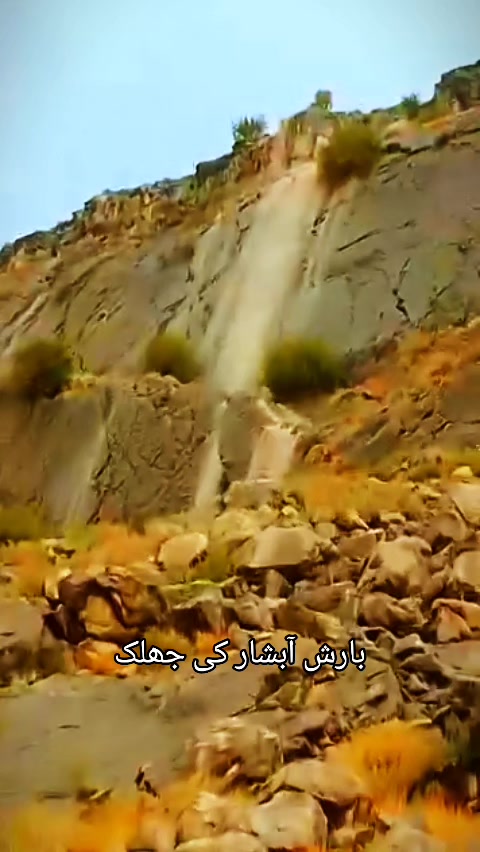 @Abdul Malik Kakar 2215