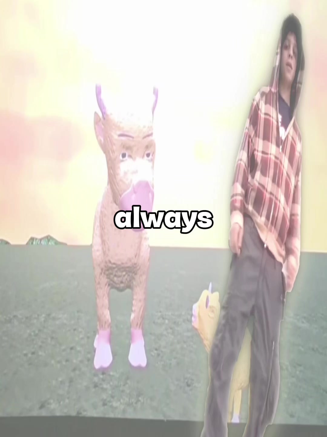 @тгк:abelfelony