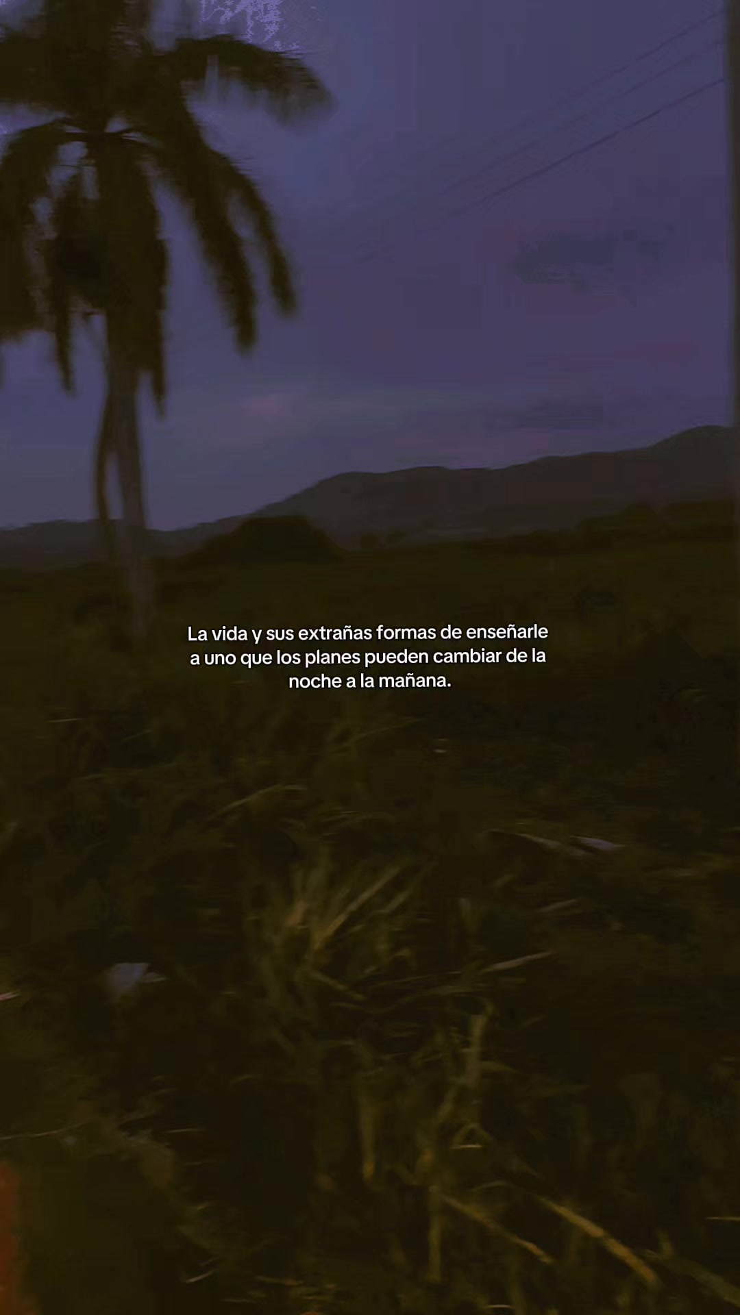 @ÄLęx Lązårœ