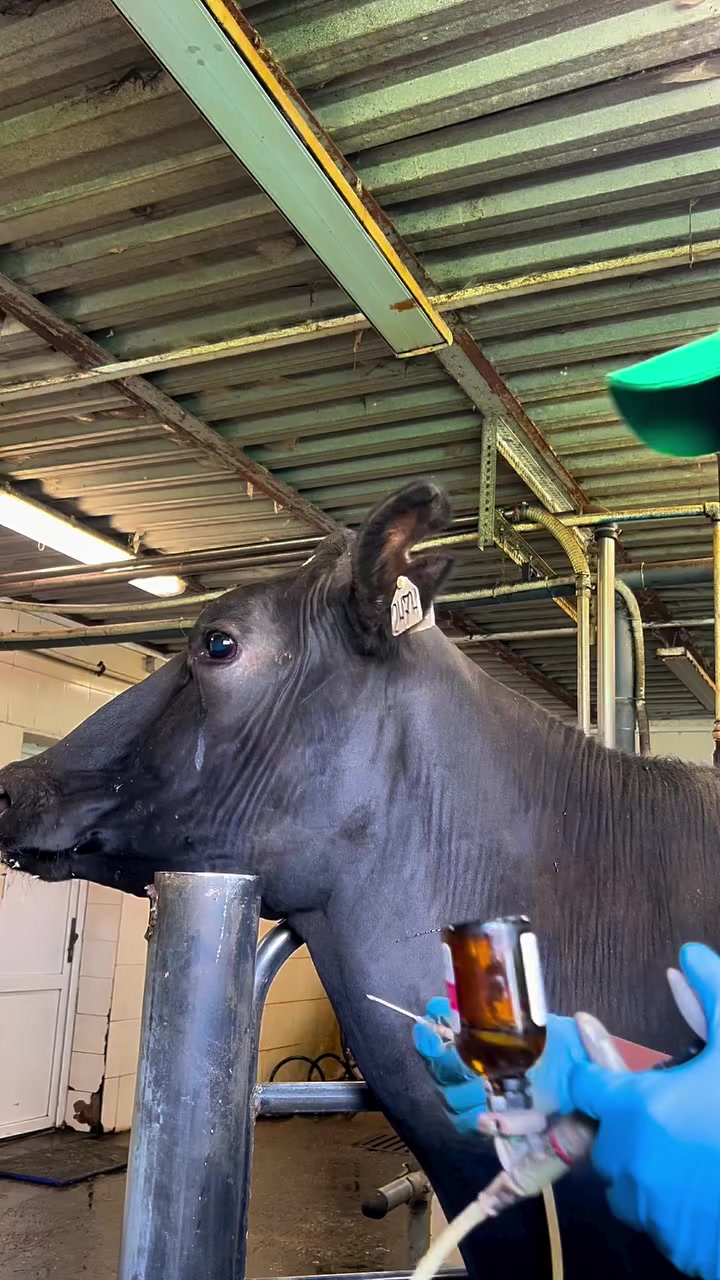 @Livestock Connect Tanzania