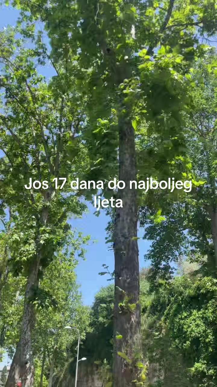 @Lukica