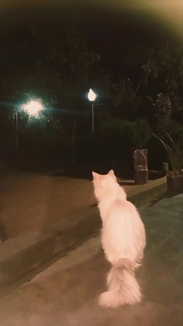 @❤️