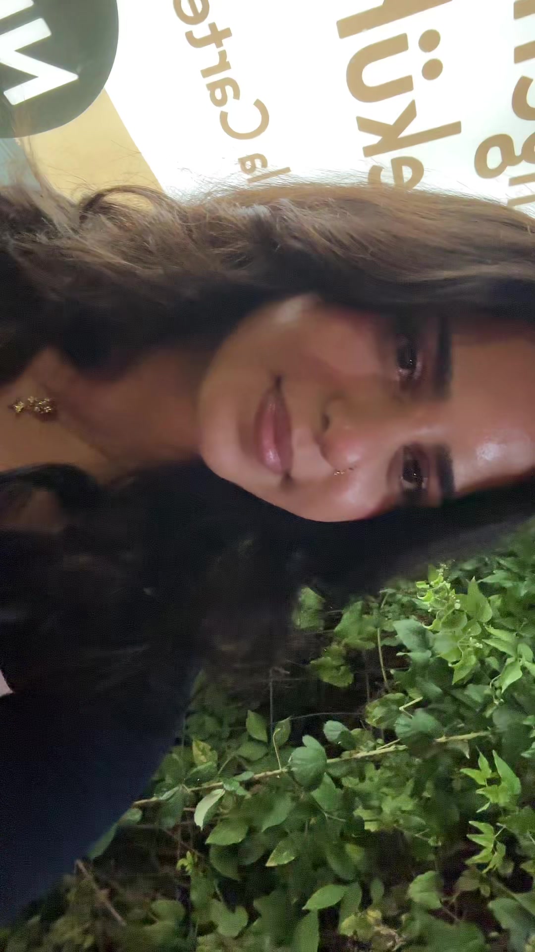 @🥭aria