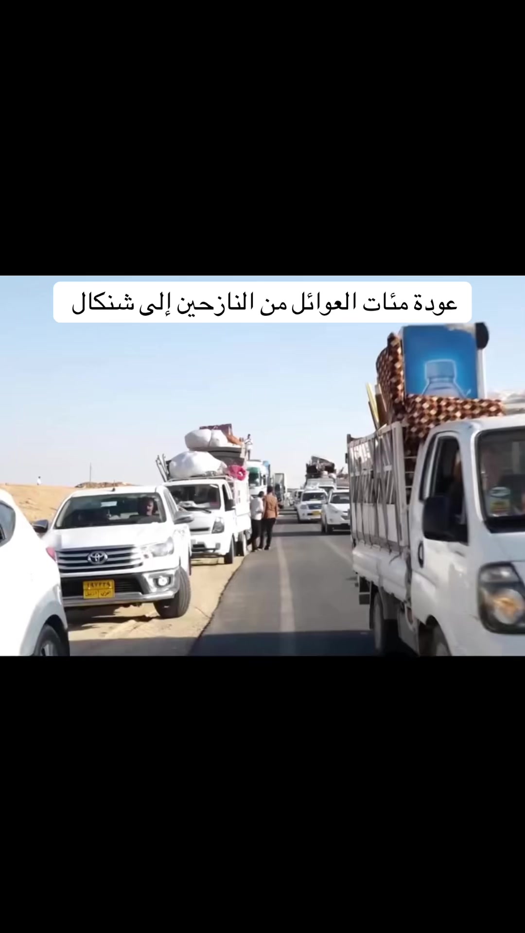 @shingal_1