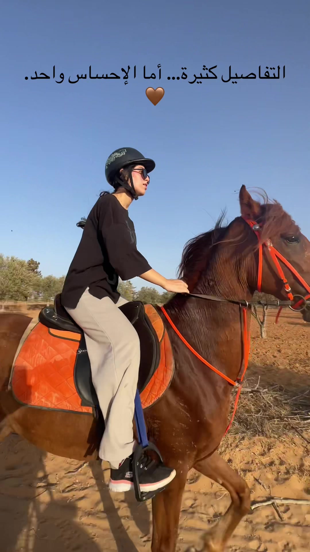 @Feres Ben Amor 🏇