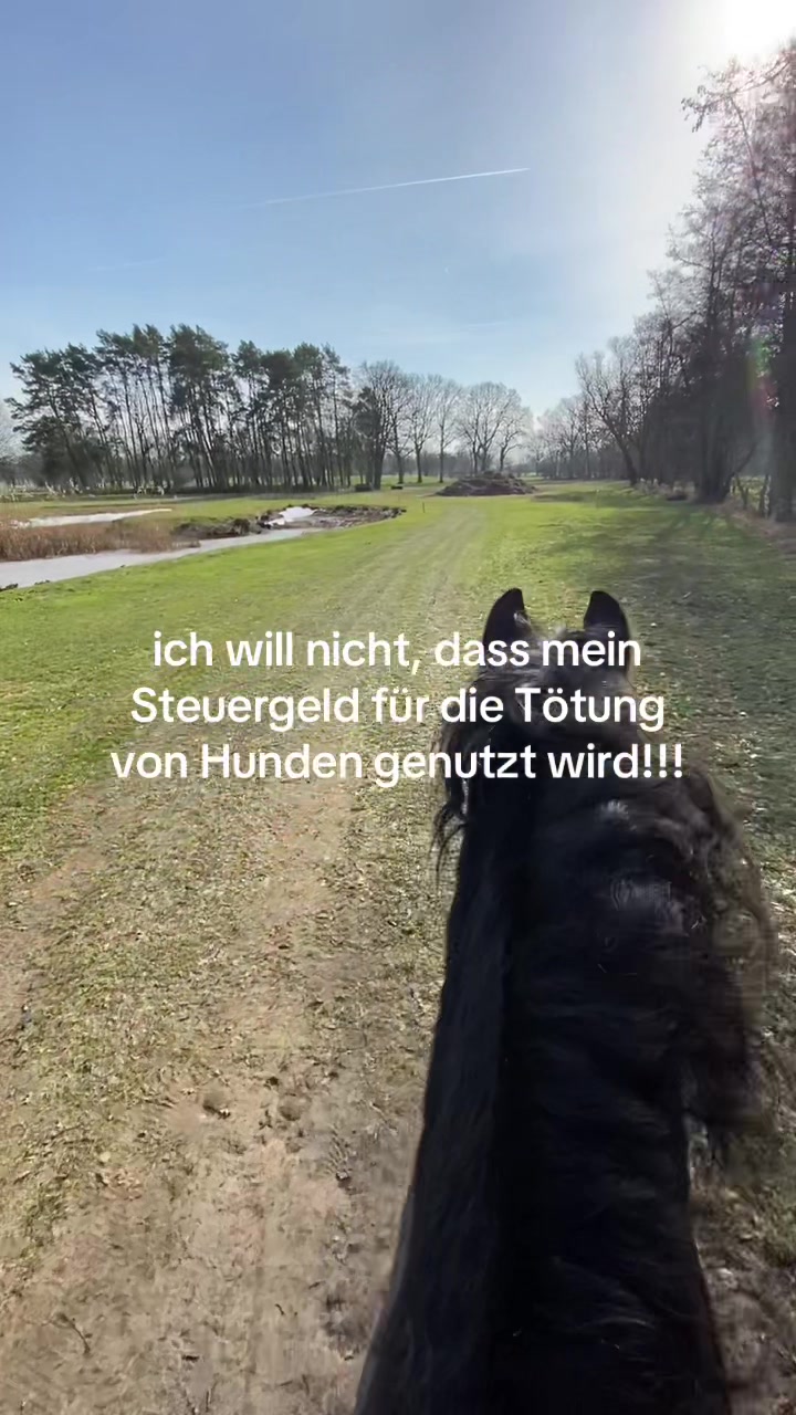 @Sophia🇩🇪