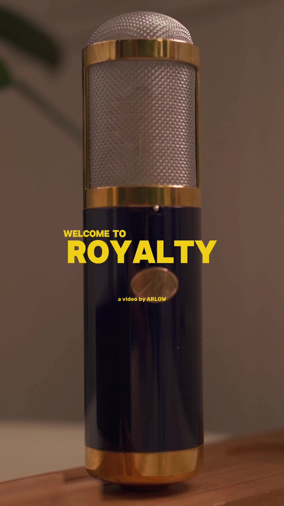 @Monheim Microphones