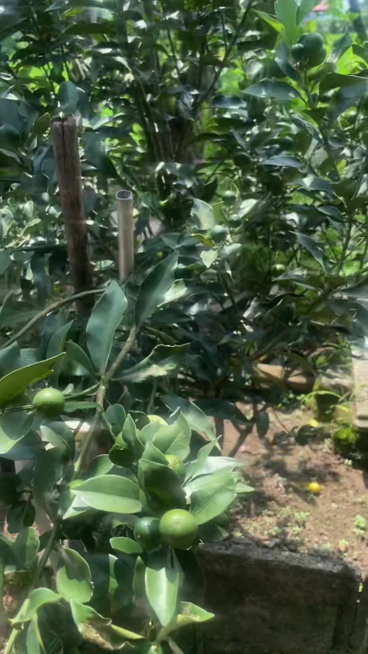 @Bidhyakarki🕉️