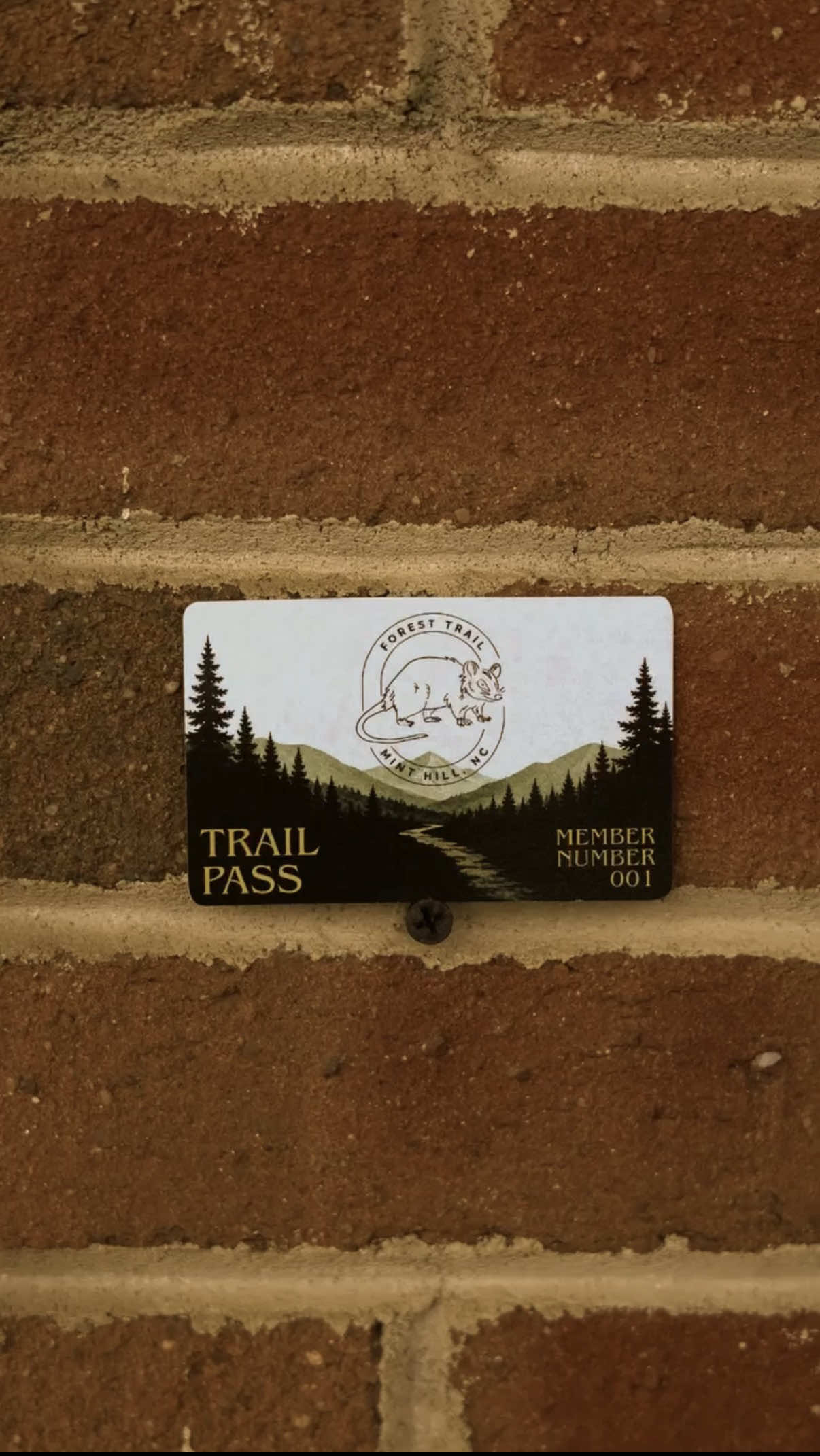 @foresttrailminthill