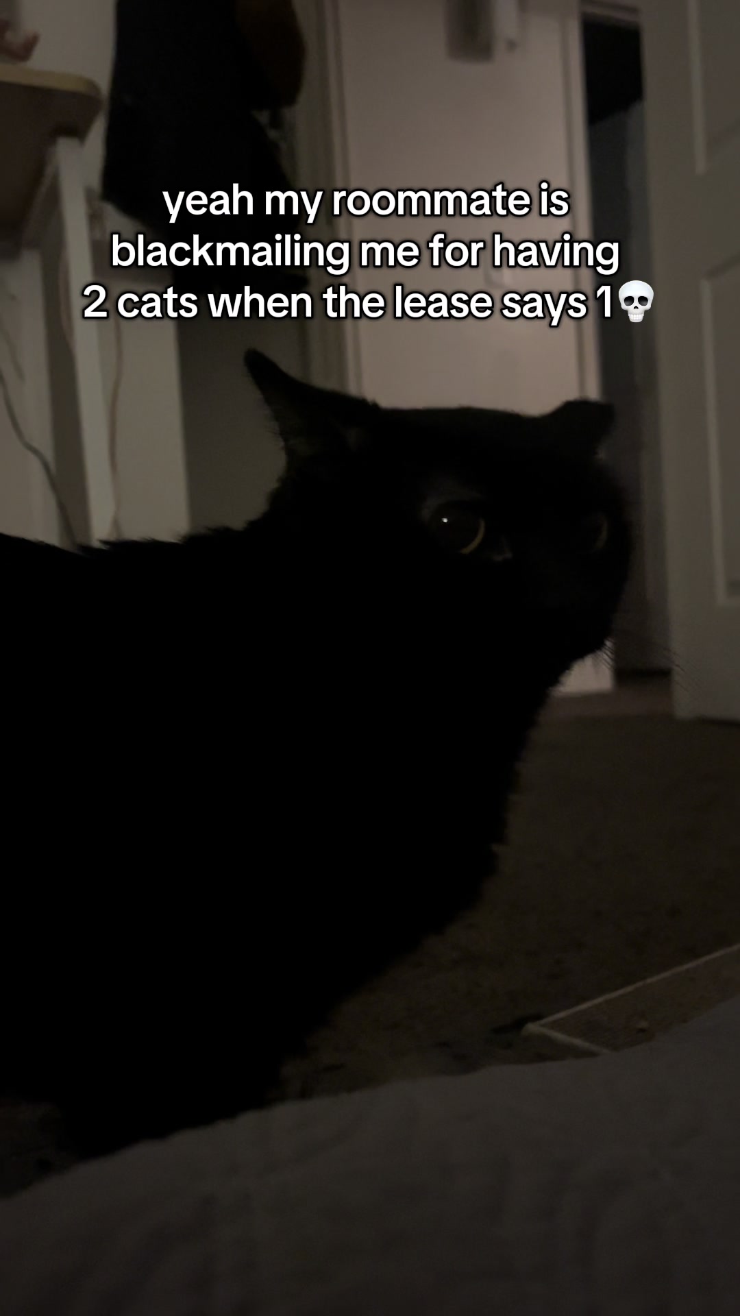 @peepa