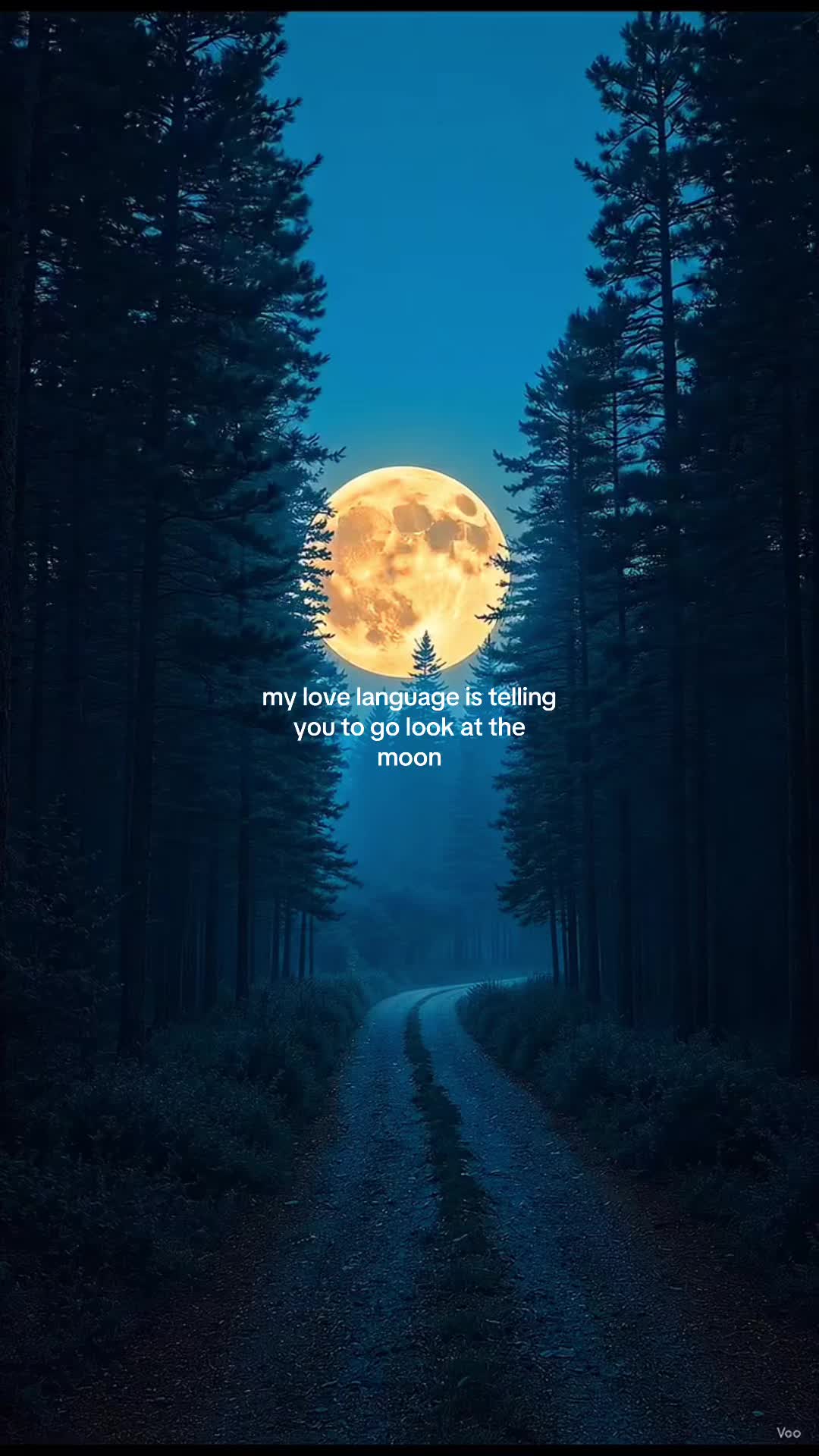 @kaitlyn🧚&zwj;♀️✨