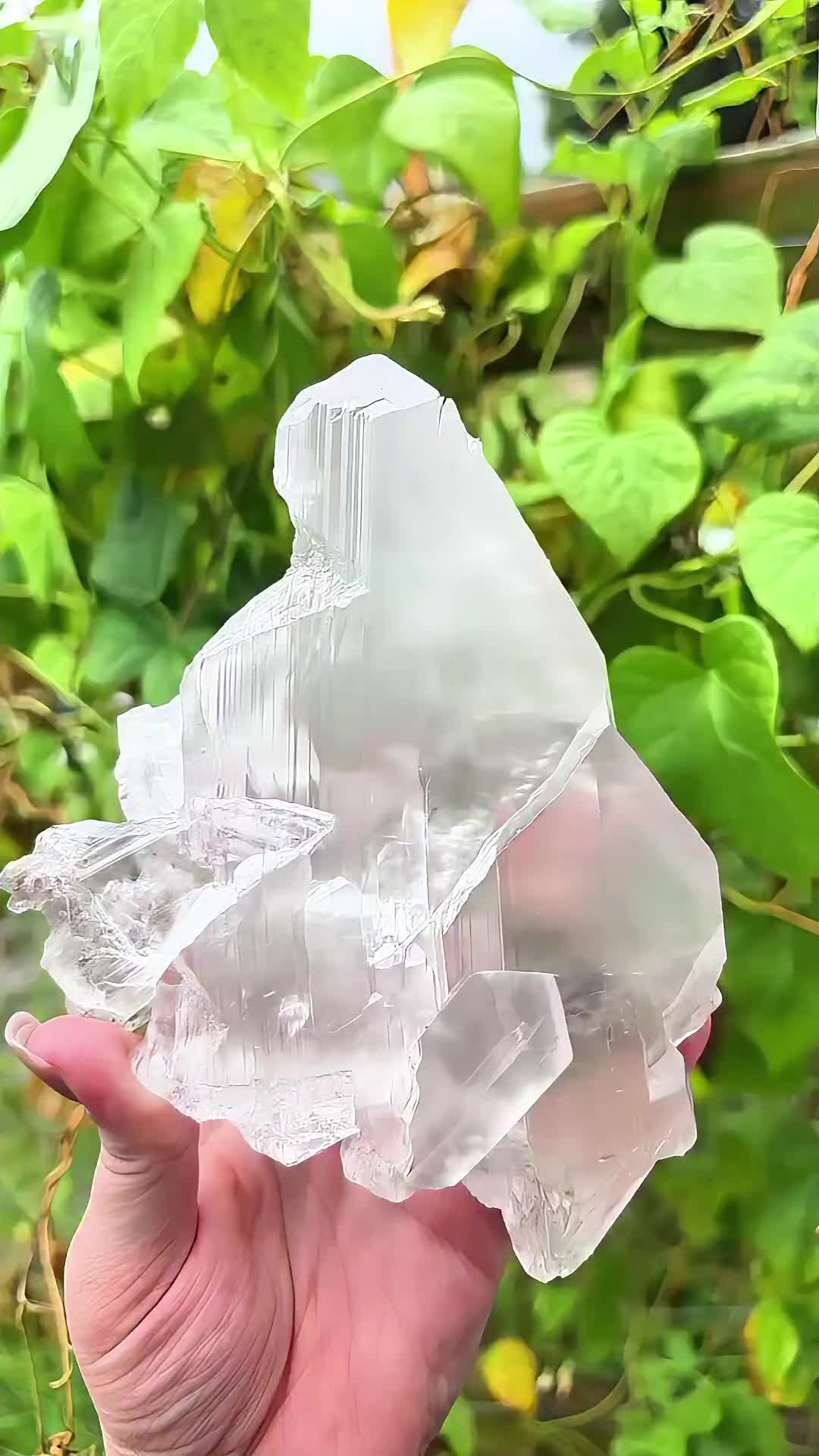 @Peabodys Crystals