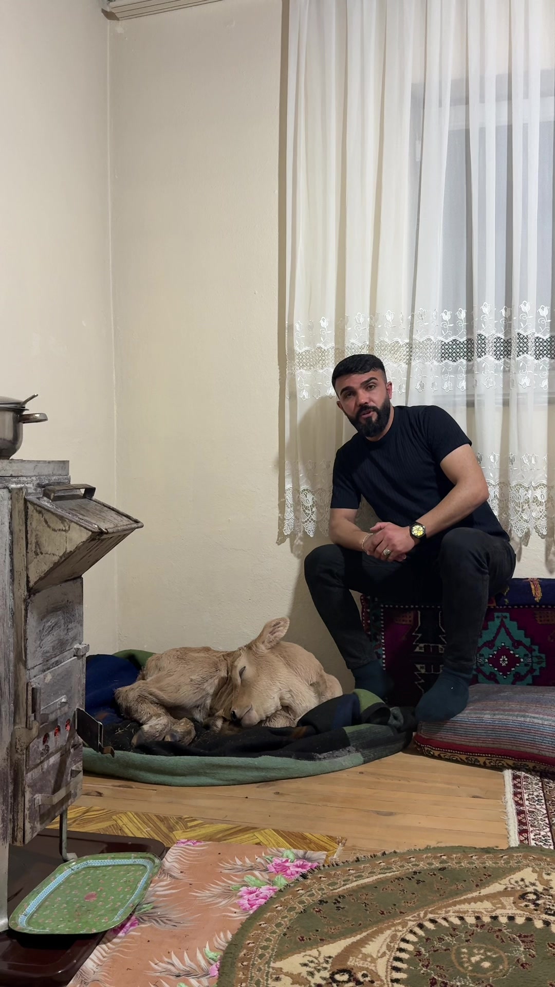 @Erşan Eray