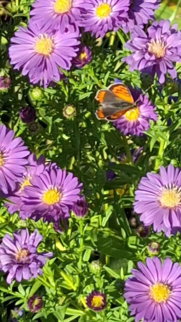 @Natur und Garten