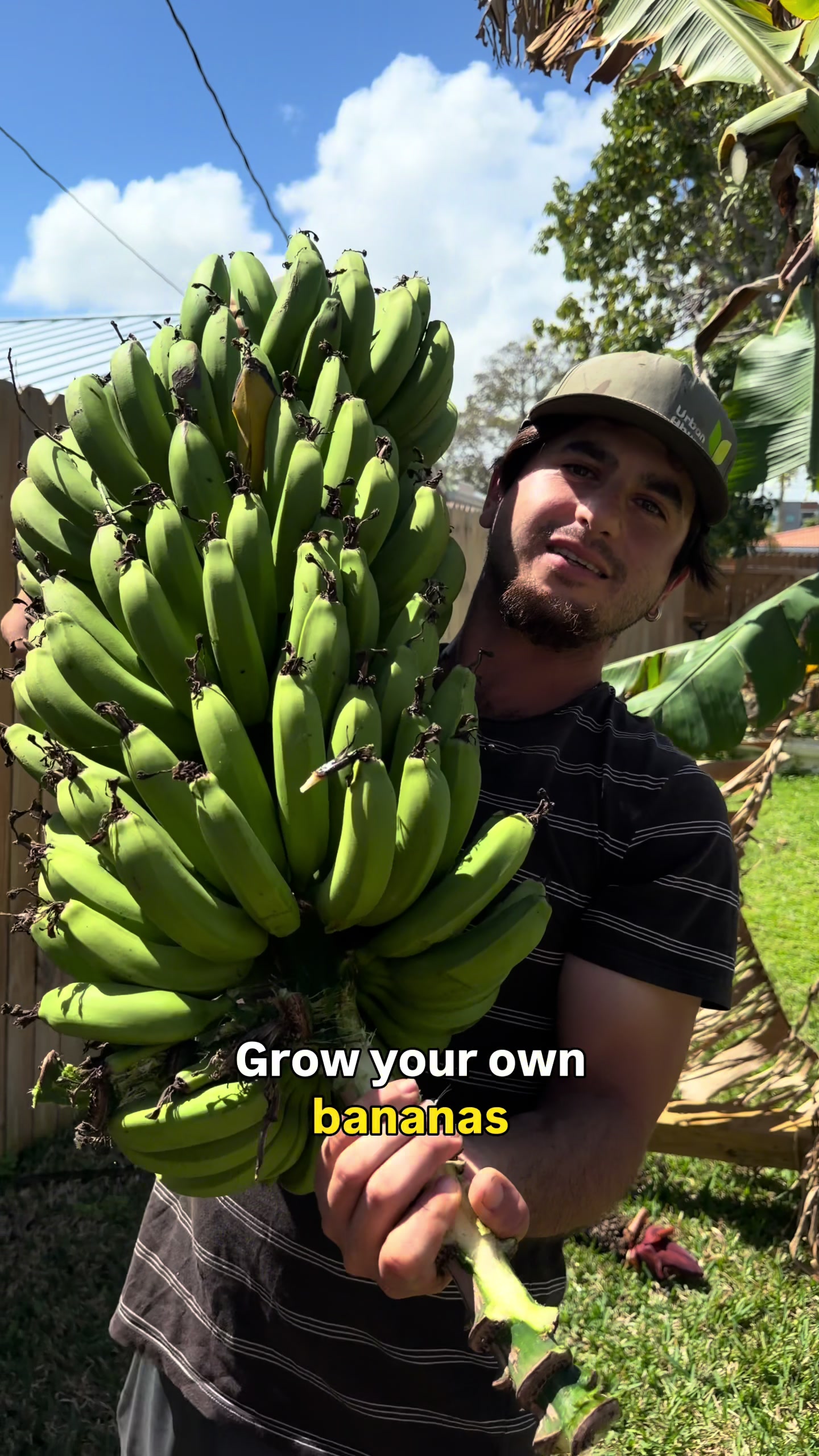 @will.harvest