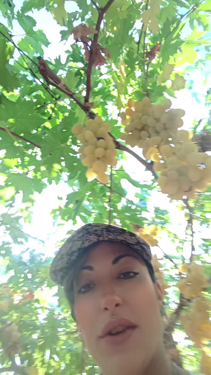 @Tarantè ❤️🔥♥️🫶