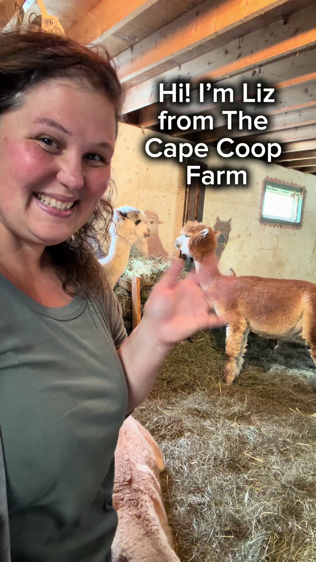 @The Cape Coop Farm