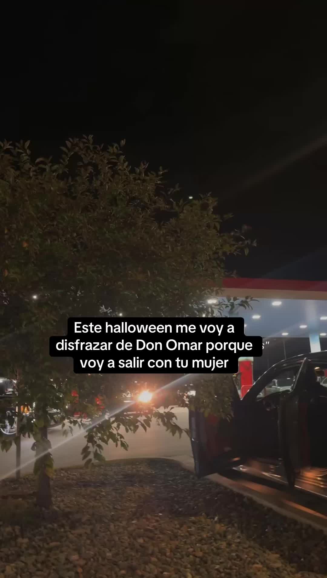 @giavibees