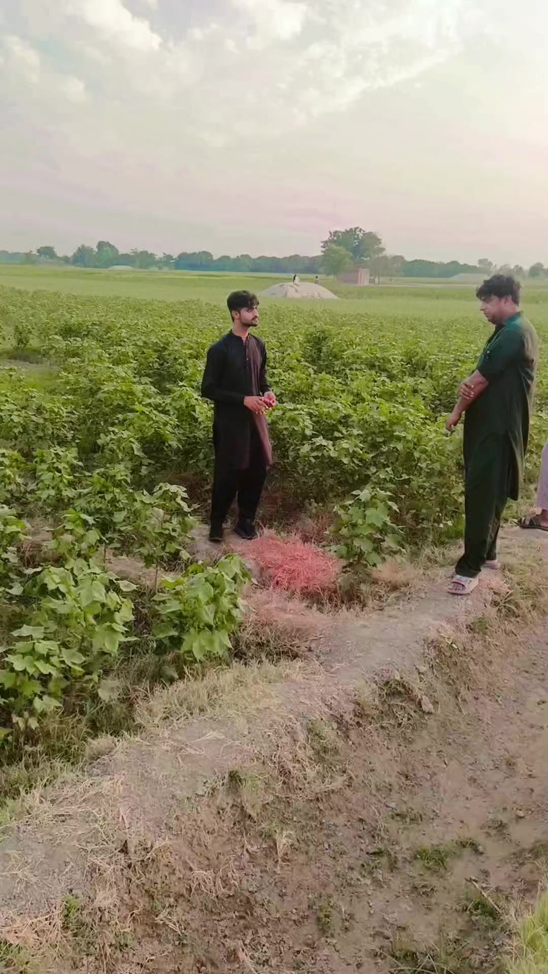 @Adnan_Shahid _Batti