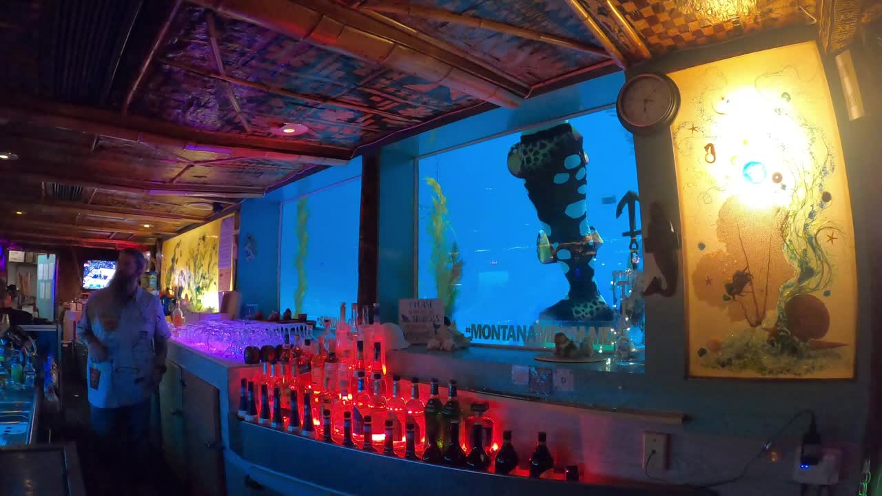 @Little Mermaid Aerial