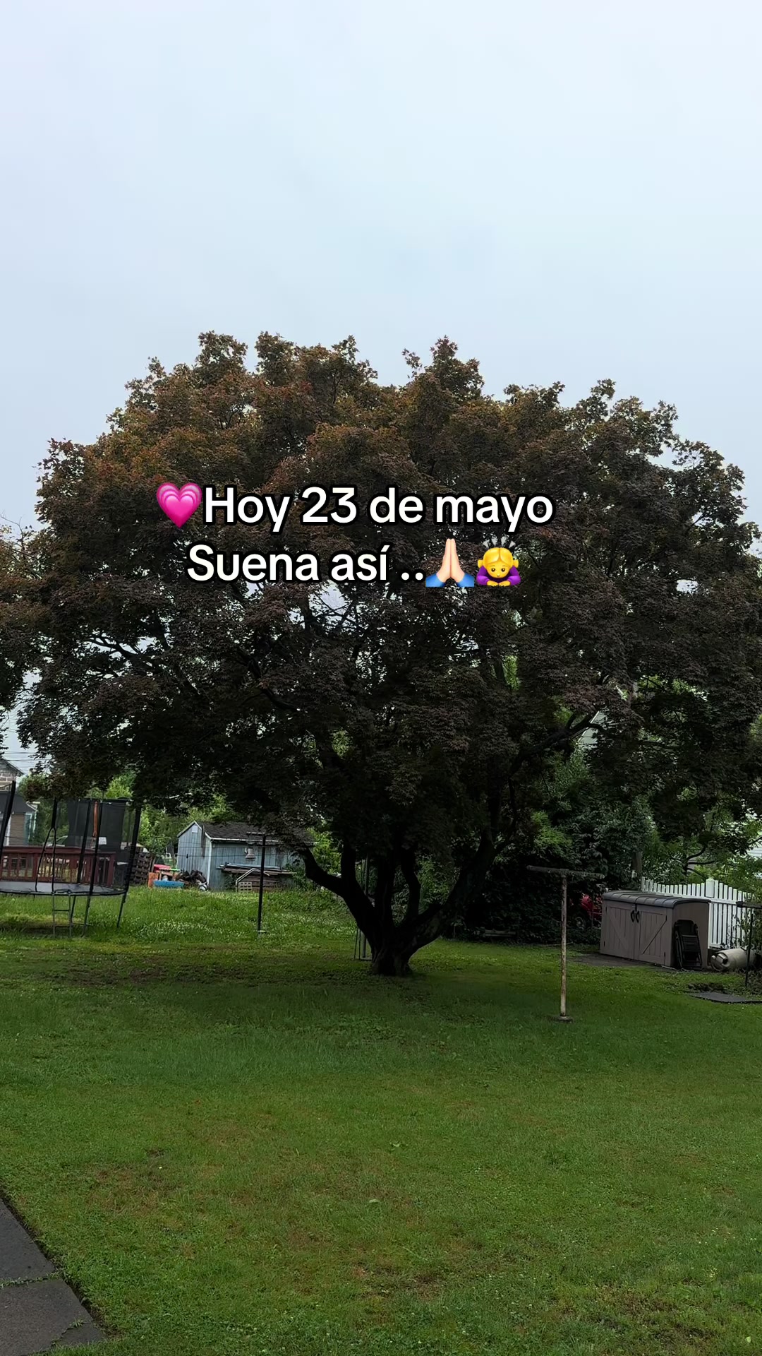 @Yuli Orozco๐งโค๏ธ