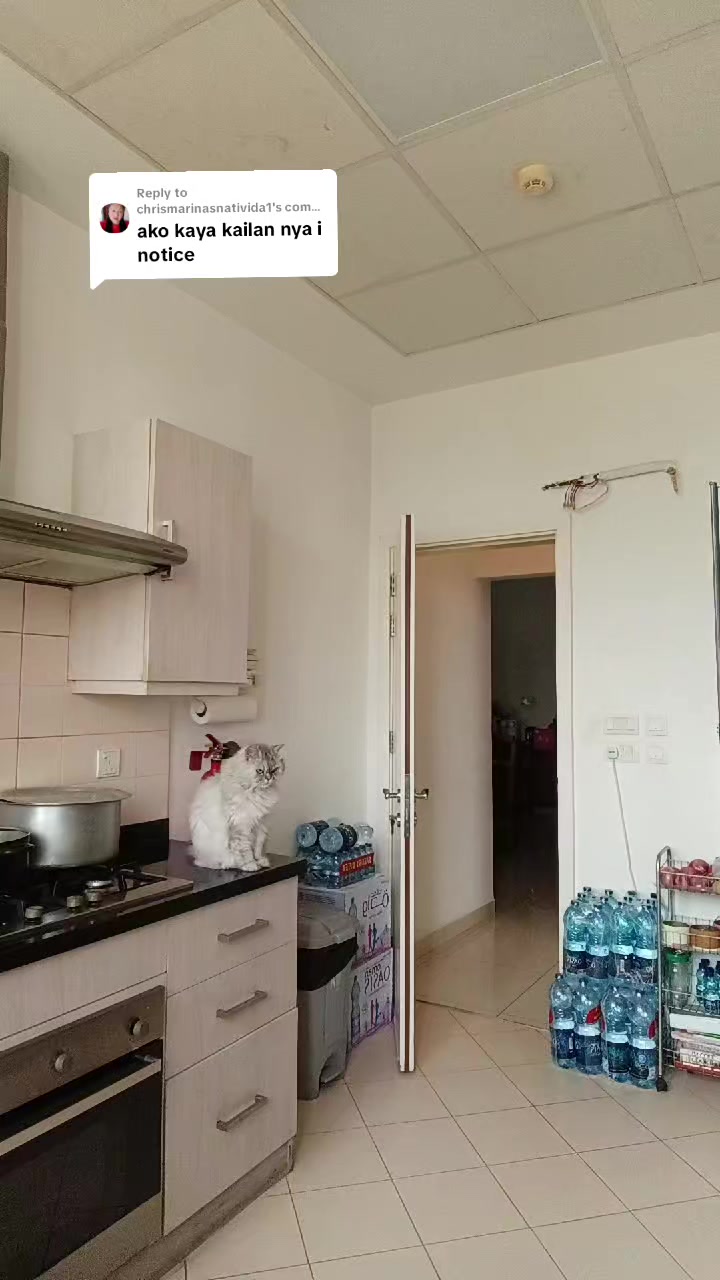 @Sinaing_Mo