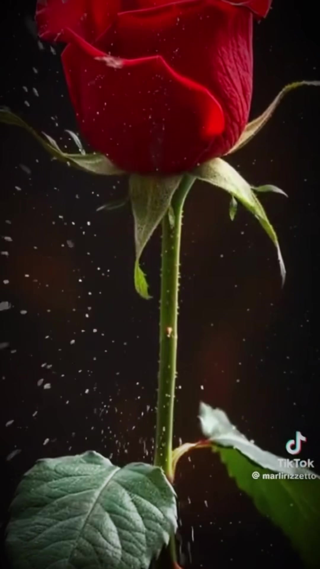 @kevinbarry32563