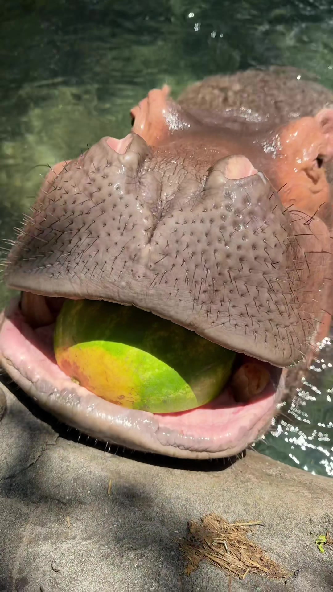 @Cincinnati Zoo