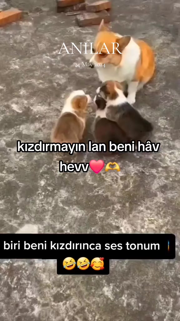 @AHDE☝️VEFA🕊🌹
