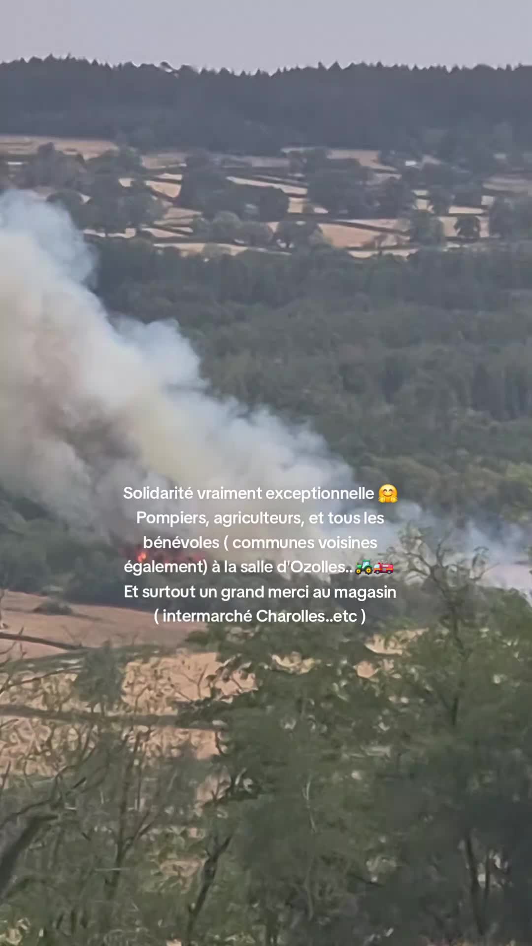 @sandrinelapeintre71 🖌👷&zwj;♀️