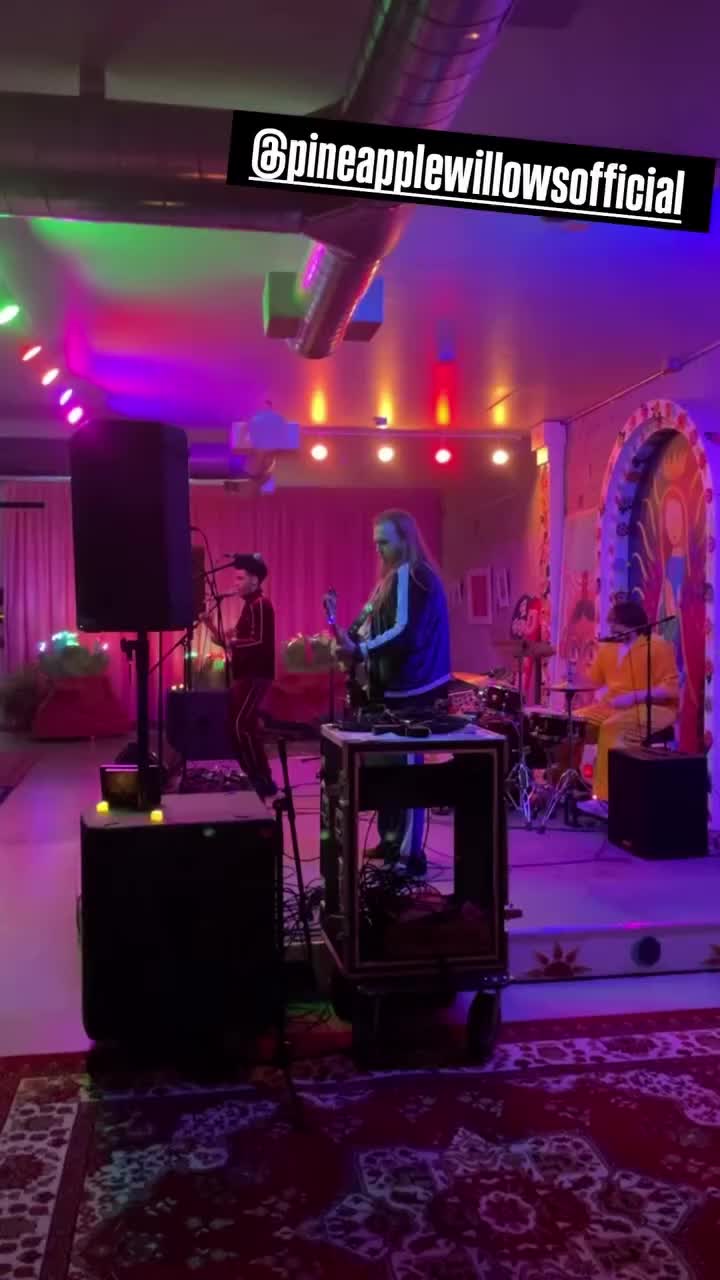 @PineappleWillowsOk