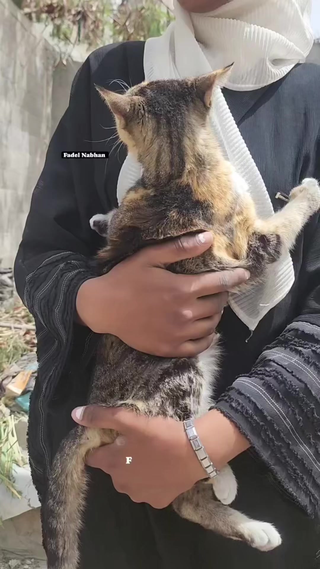 @Gaza Animal Rescue