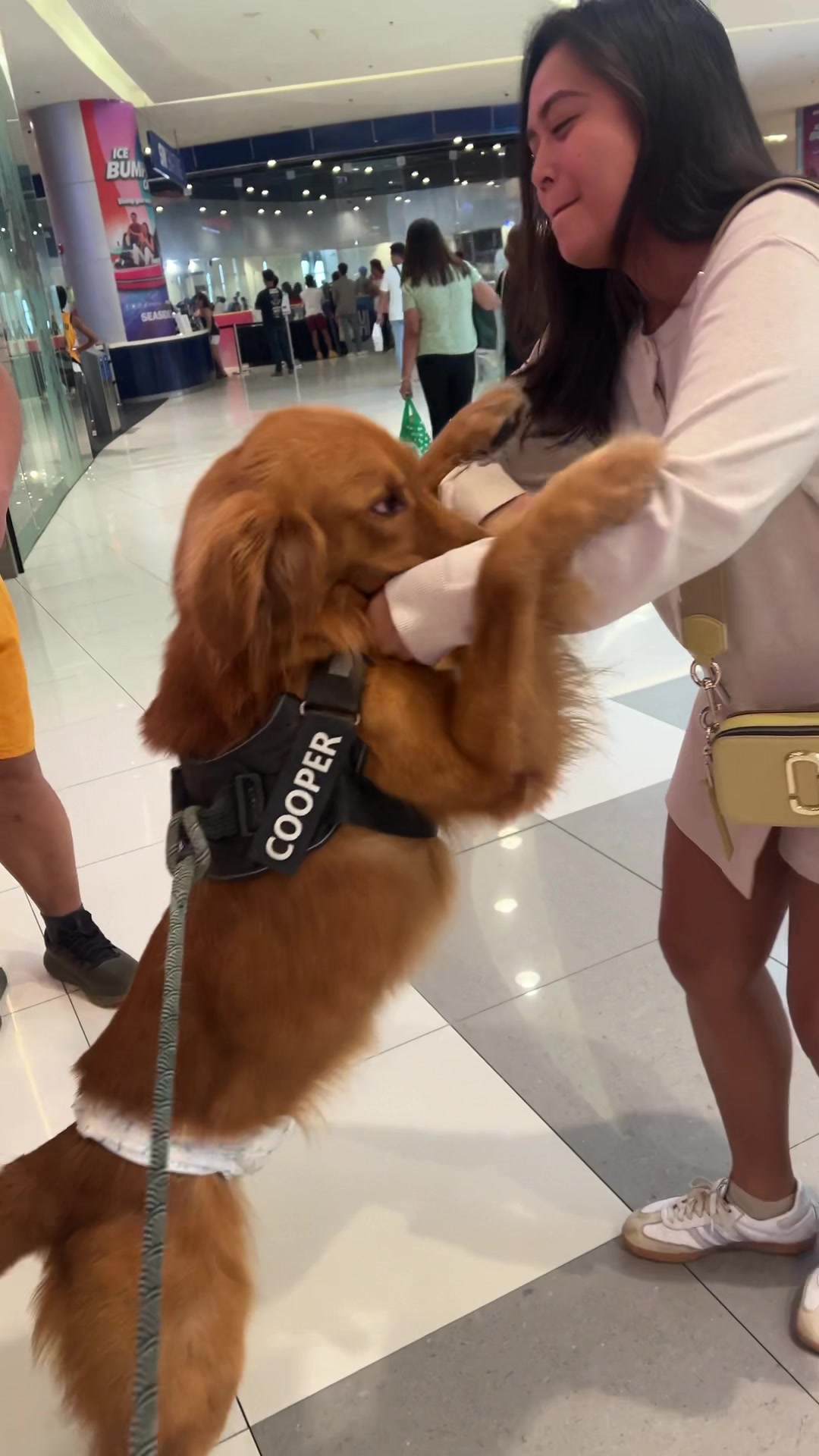 @Cooper&bros 🐾