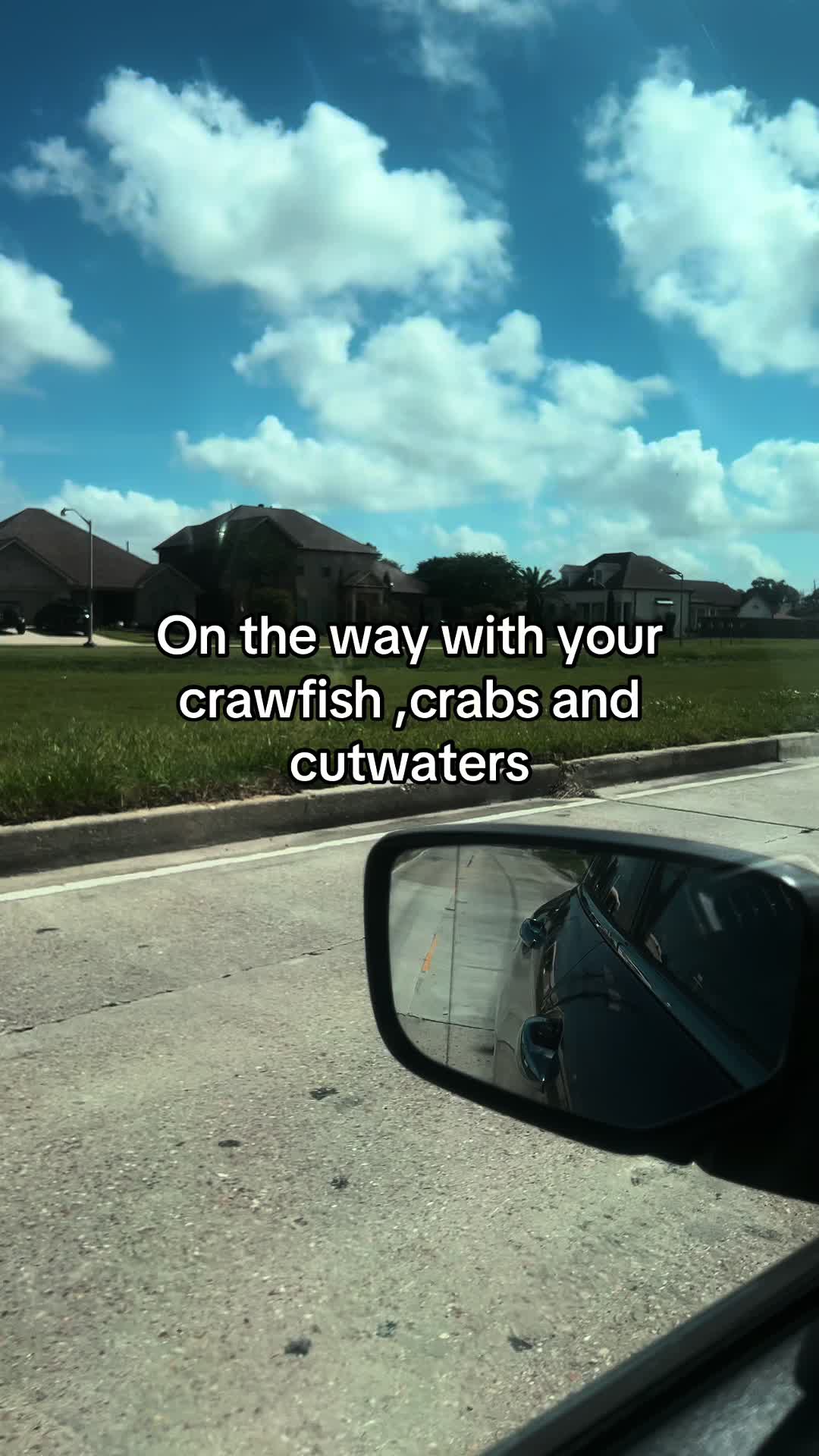 @🌴👑TikTok kynnngvibetv👑🌴