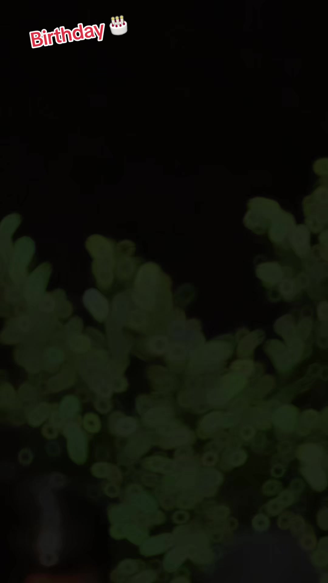 @💫ملک صاحب 💫