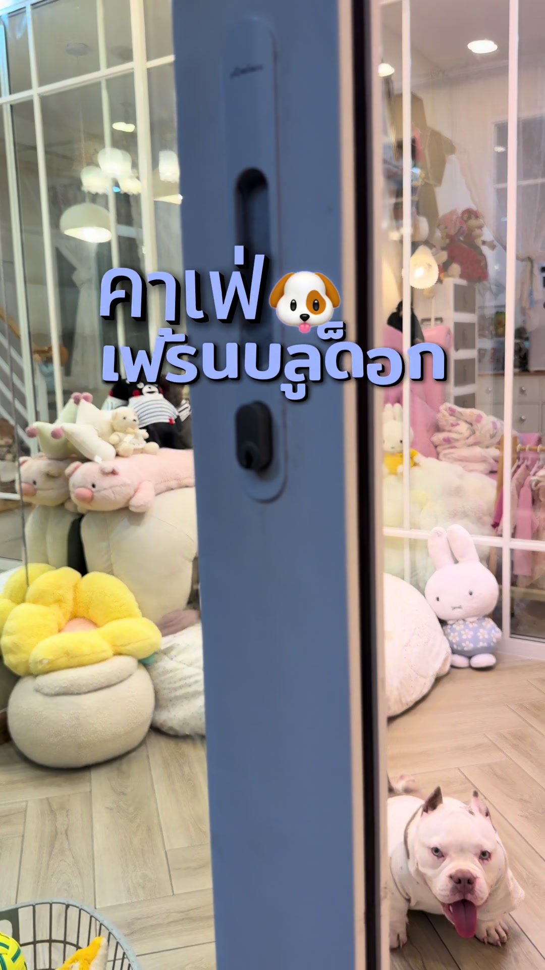 @Privatedog cafe Bangkok