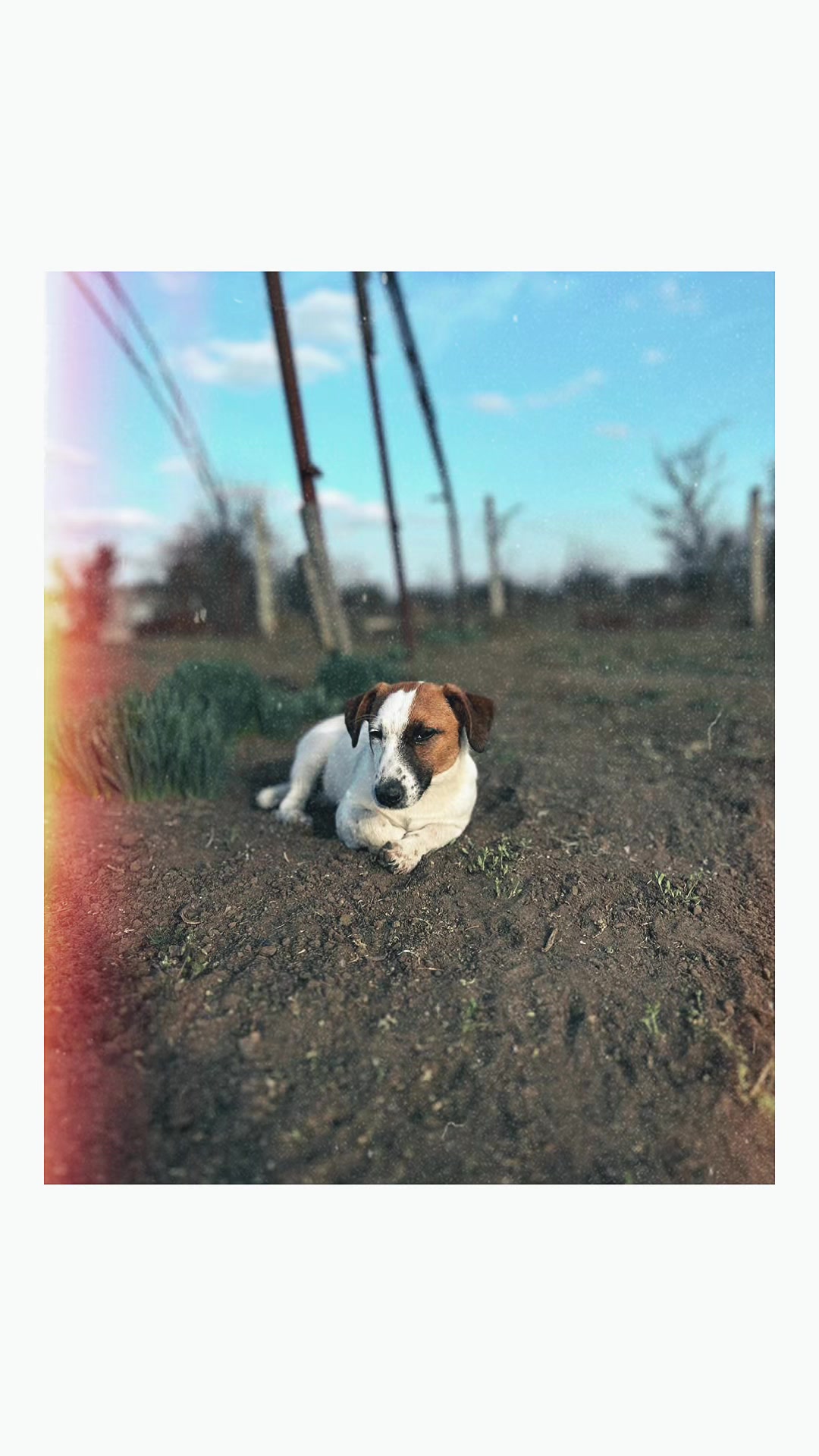@Ириша Евдокимова