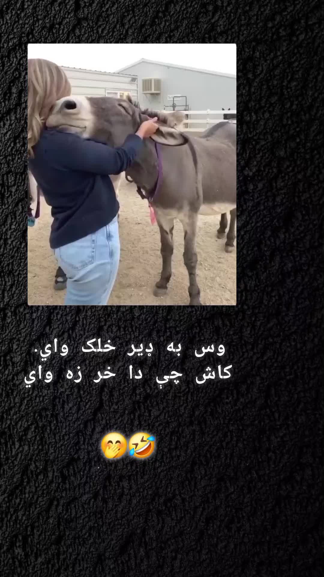 @رهــ🦢ــبر ◡̈⃝🖤