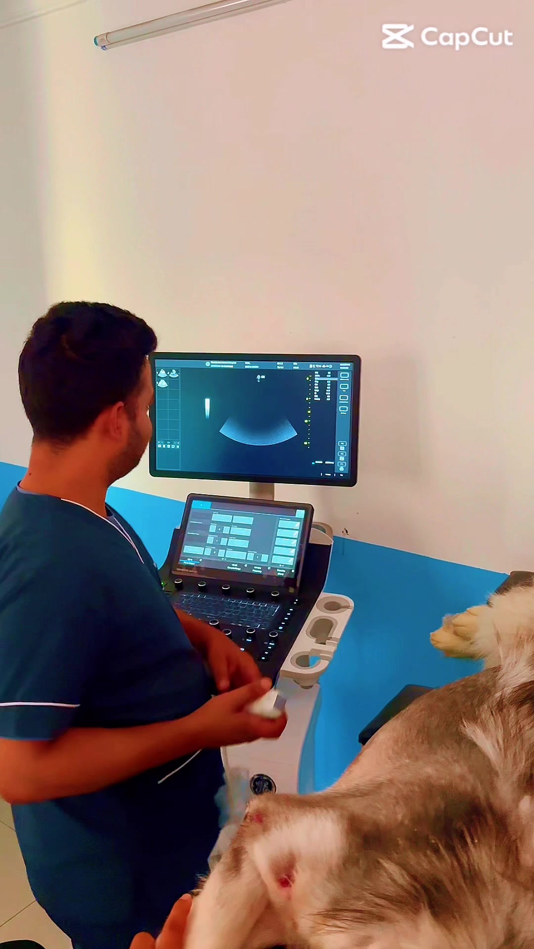 @Bhatbhateni Animal hospital