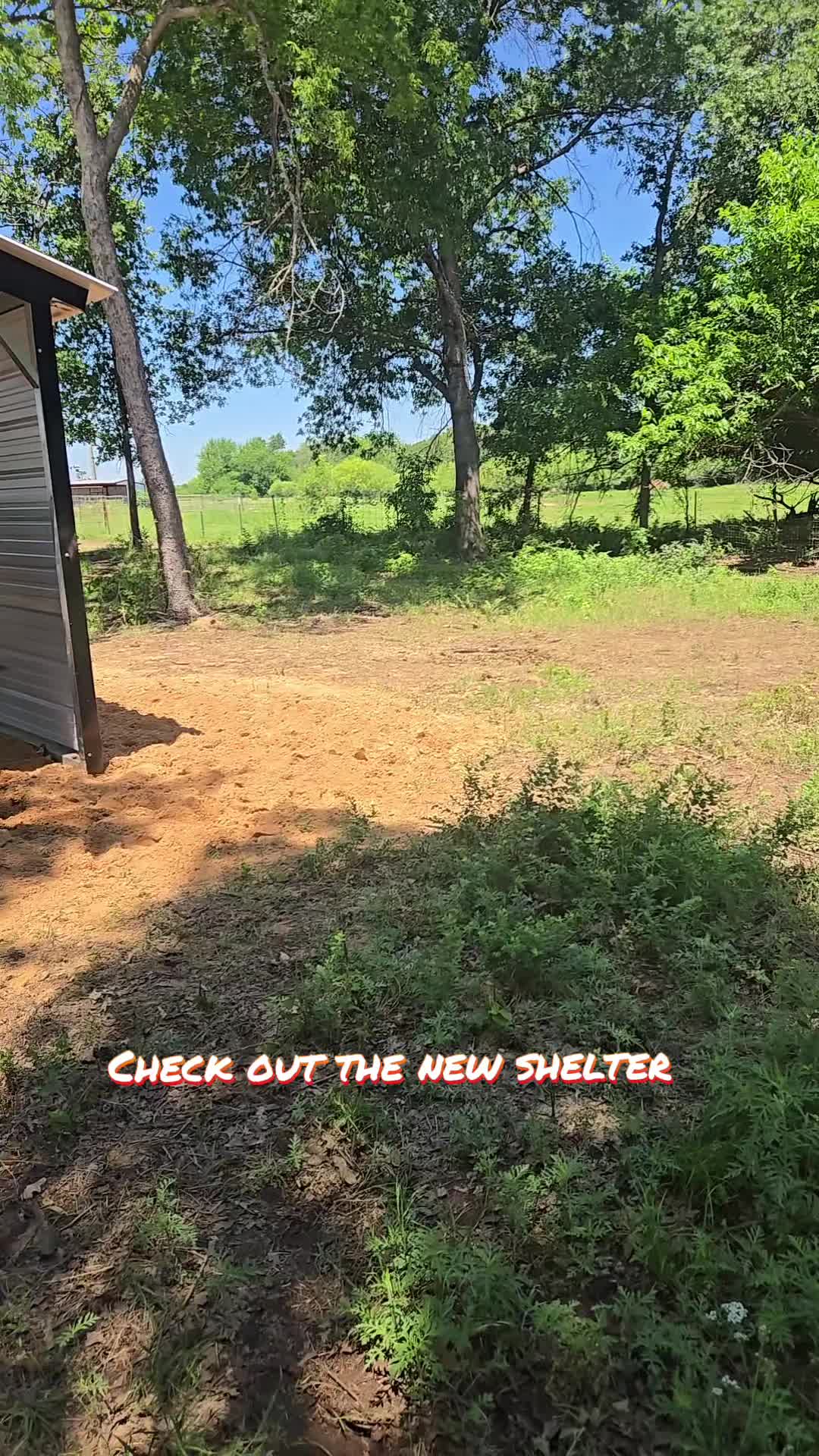 @Fonzy's Farm Rehab & Sanctuary