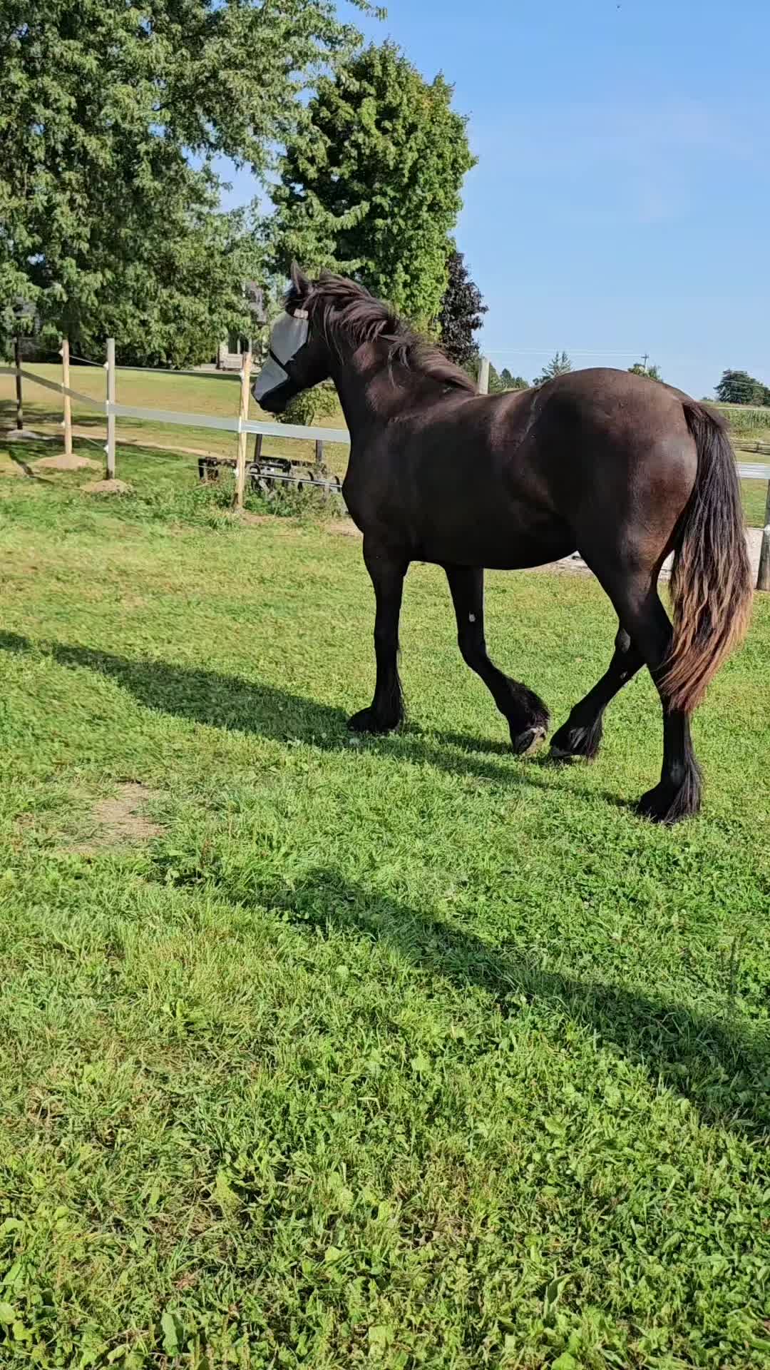 @Kismet Farm Crew