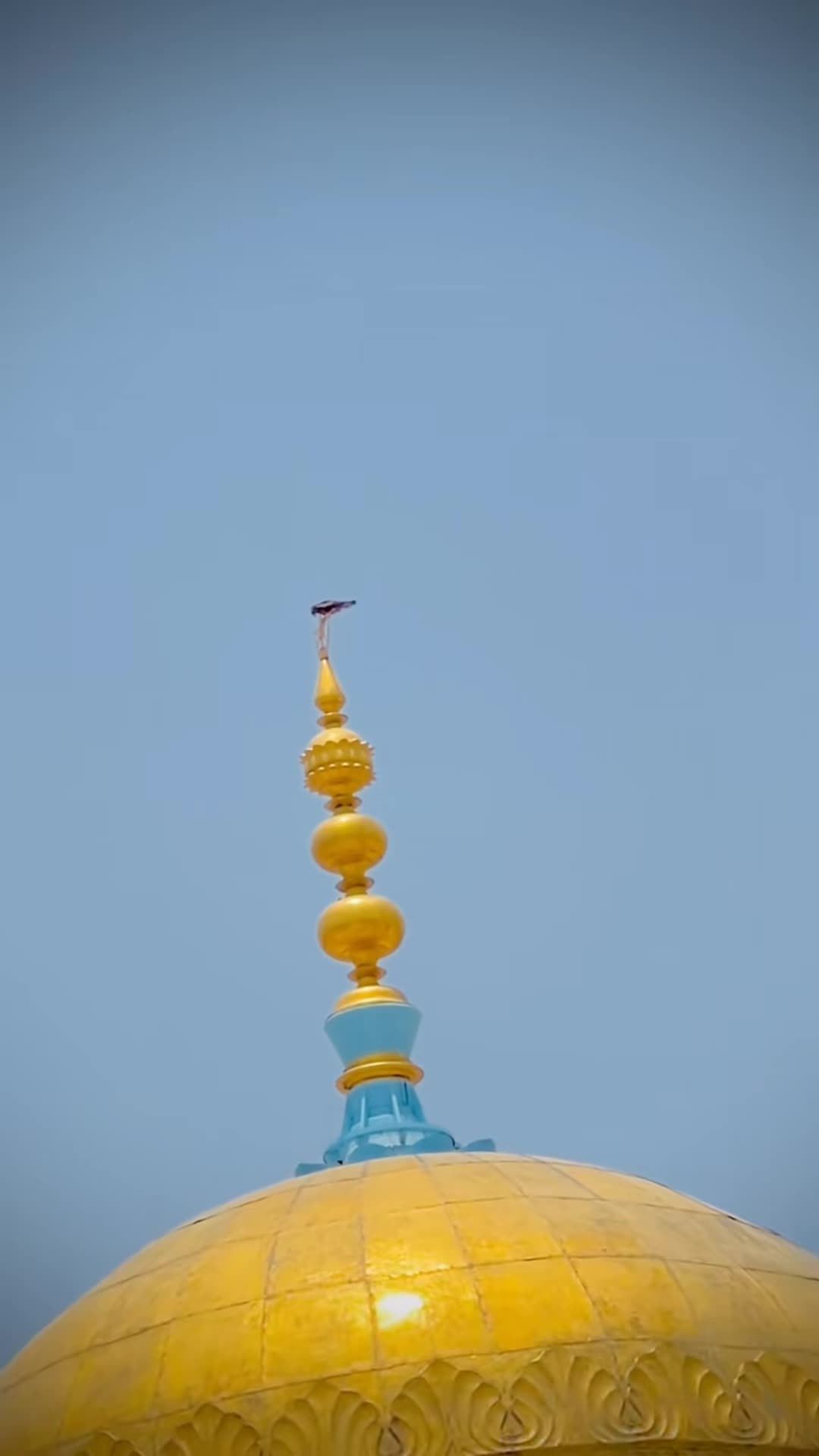 @๐ ฺฺู ูพุงฺณุงุฑุง๐