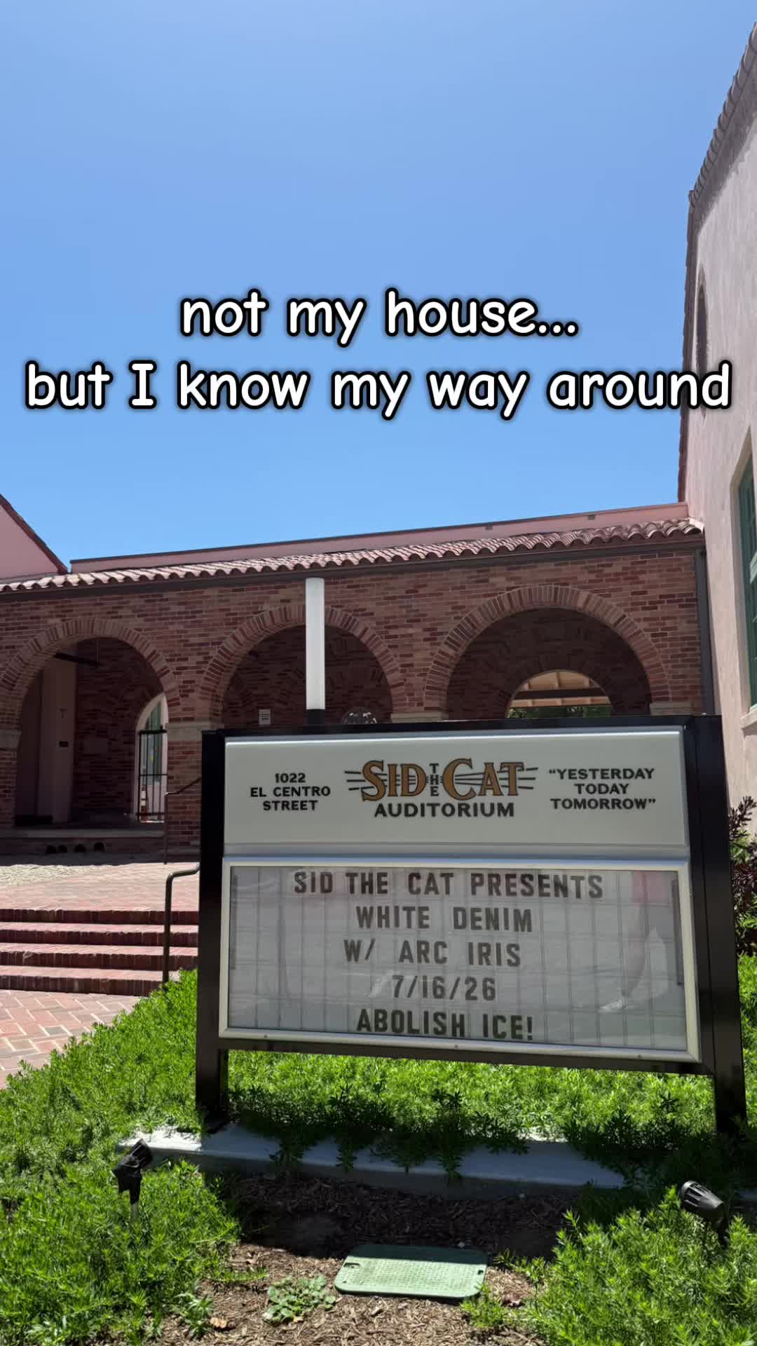 @˗ˏˋ Sid The Cat ˊˎ˗