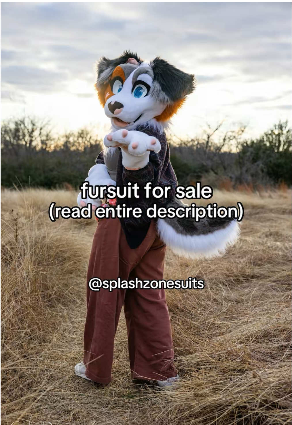@splashzonesuits