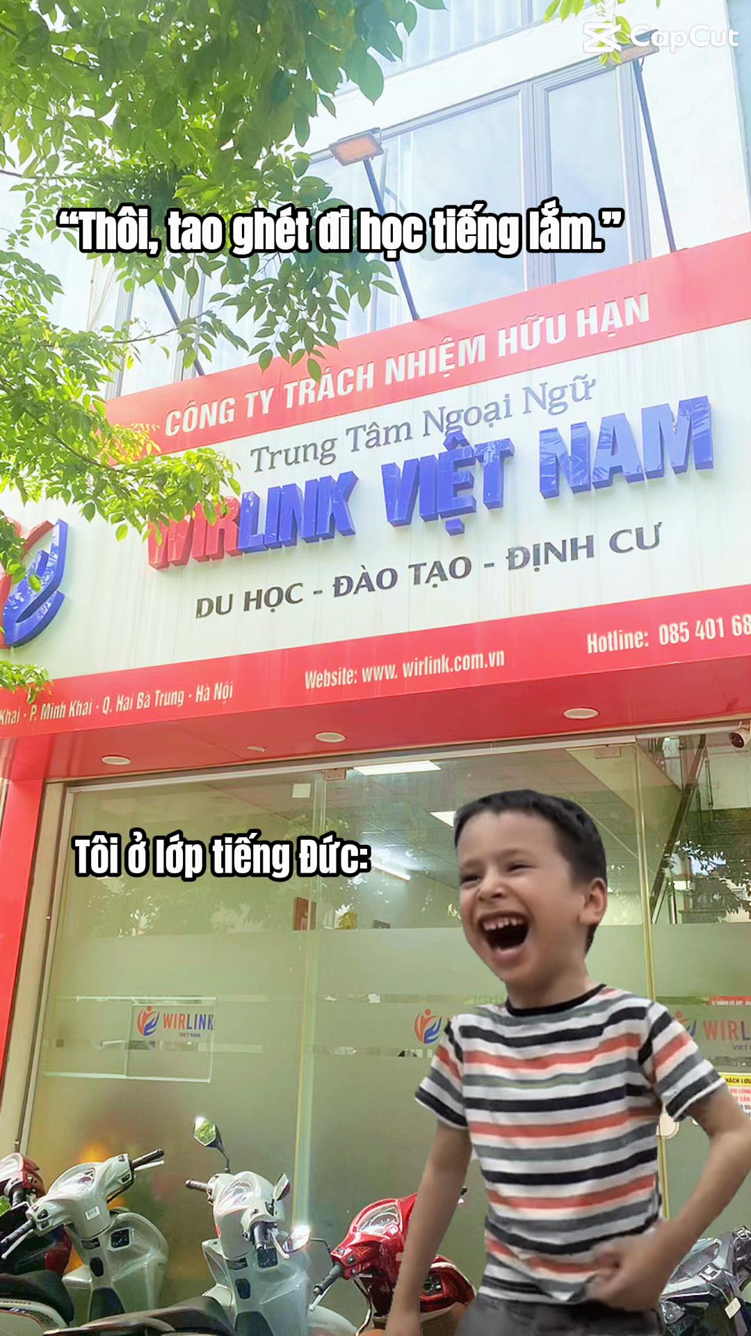 @WirLink Việt Nam